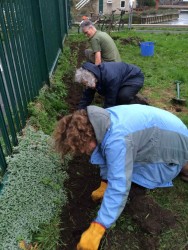 The team hard at work hedge planting.
